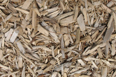 biomass boilers Papigoe